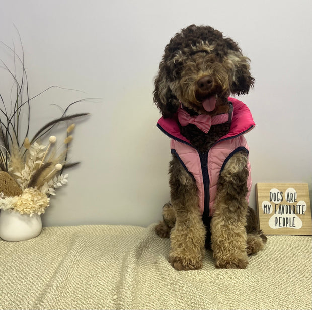 Baby Pink & Magenta Reversible Dog Puffer Jacket