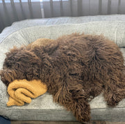 Comfort Blankie Teddy Bear 10/48cm