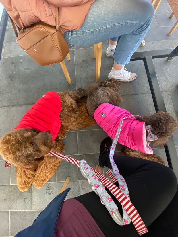 Baby Pink & Magenta Reversible Dog Puffer Jacket